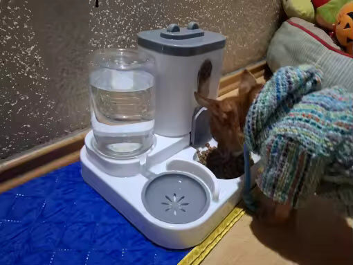 Customer review
