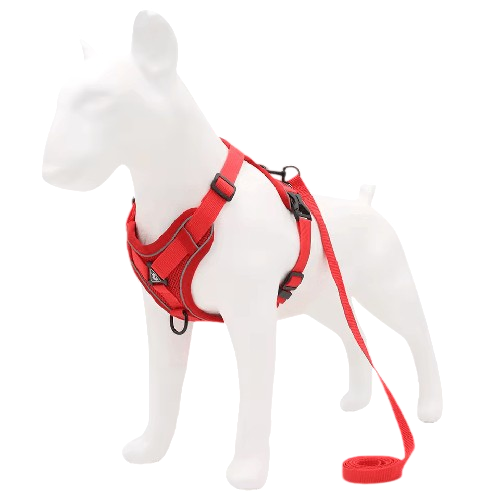Adjustable Pet Leash & Harness Set